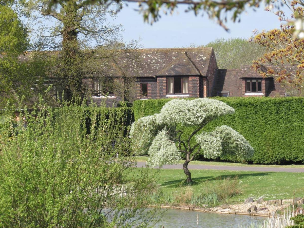Northlands Farm - Old Farm Cottage Chichester Exteriör bild